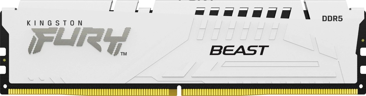 Kingston DDR5 32GB (2x16GB) 5600MHz FURY Beast (KF556C40BWK2-32) memorija za desktop 