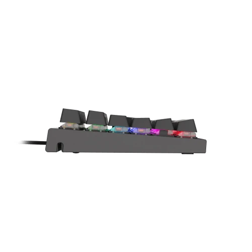 Genesis Thor 300 RGB (NKG-1571) mehanička gejmerska tastatura US crna