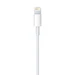Apple MD819ZM/A kabl za punjač USB A (muški) na lightning (muški) 2m
