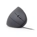 Gembird (MUS-ERGO-01) 3200 DPI USB ergonomski optički miš crni