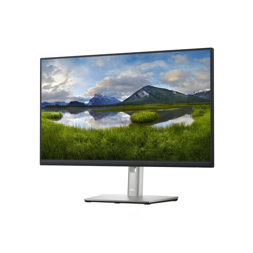 Dell P2422H Professional IPS monitor 23.8"