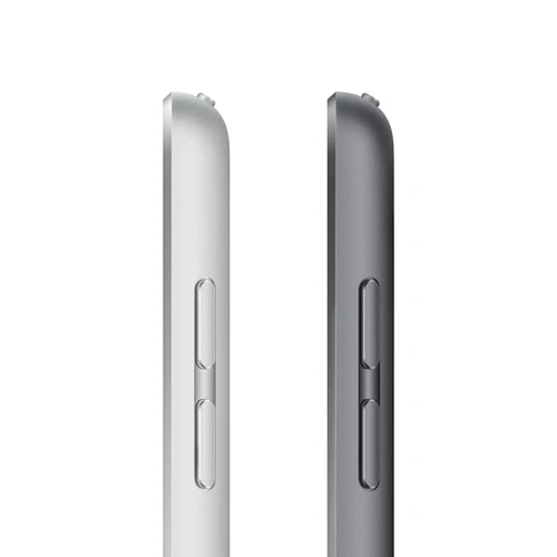 Apple iPad LTE (MK473HC/A) sivi tablet 10.2" Bionic A13 64GB 8Mpx